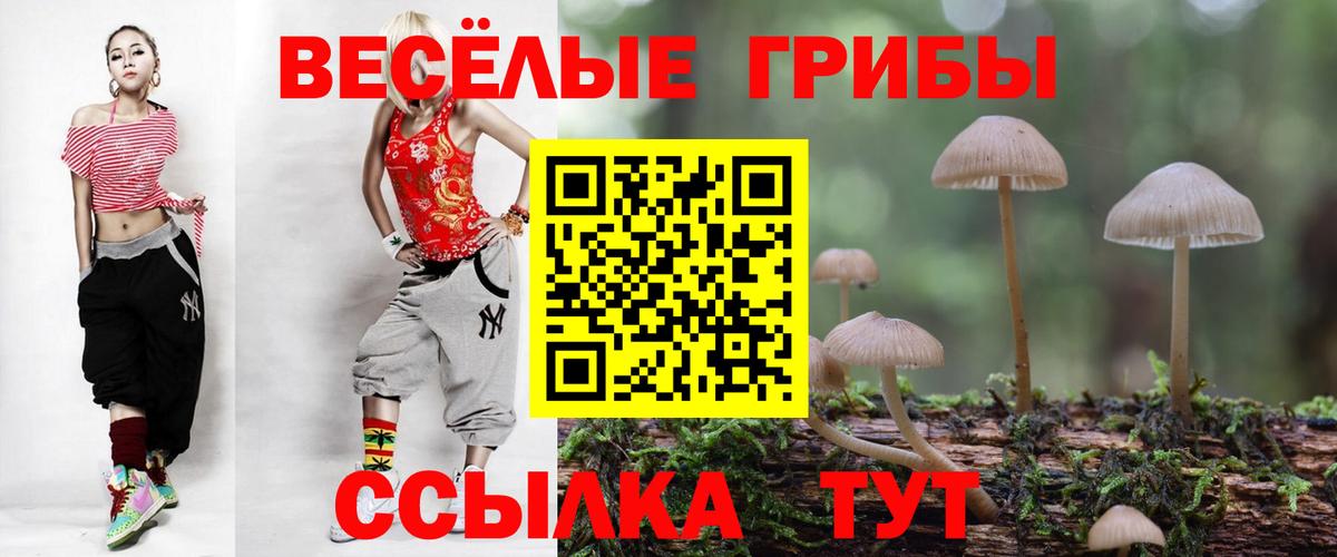 Псилоцибиновые грибы мицелий Семилуки